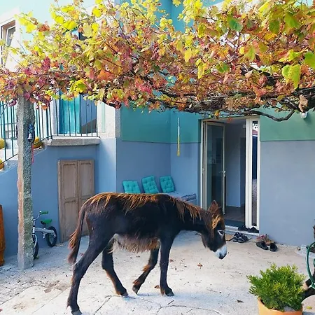 Quinta Da Quinhas Фермерский дом Вила-Прайа-де-Анкора