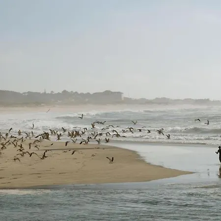 Quinta Da Quinhas Вила-Прайа-де-Анкора