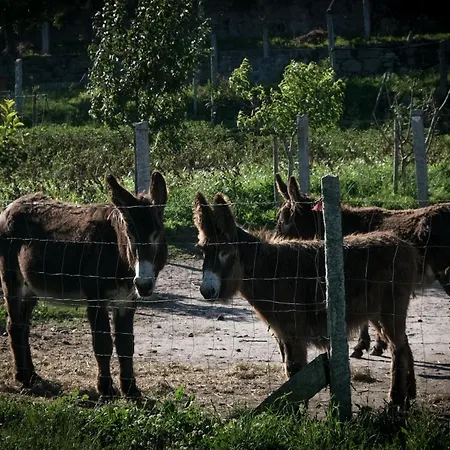 Agroturismo Quinta Da Quinhas *