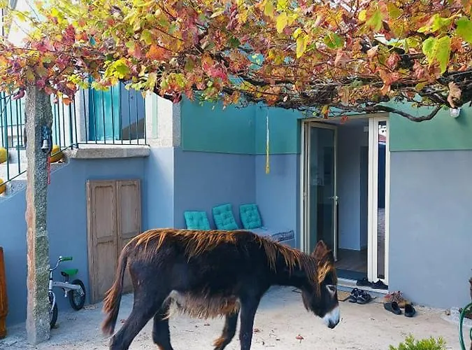 Quinta Da Quinhas Agroturismo Vila Praia de Âncora