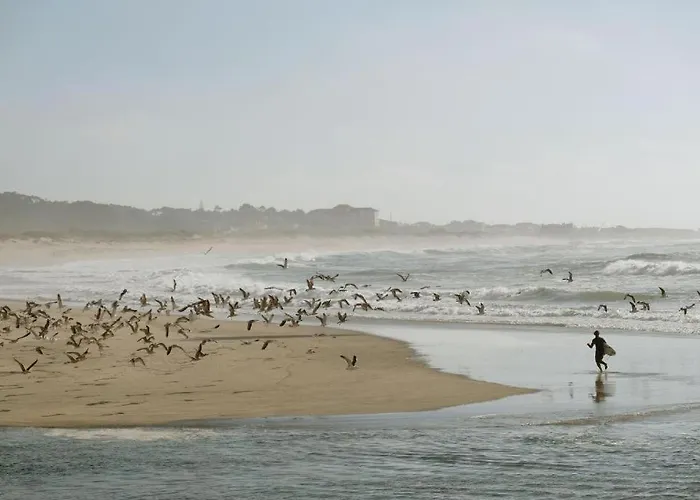 Quinta Da Quinhas Vila Praia de Âncora