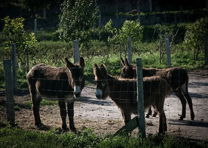Agroturismo Quinta Da Quinhas *